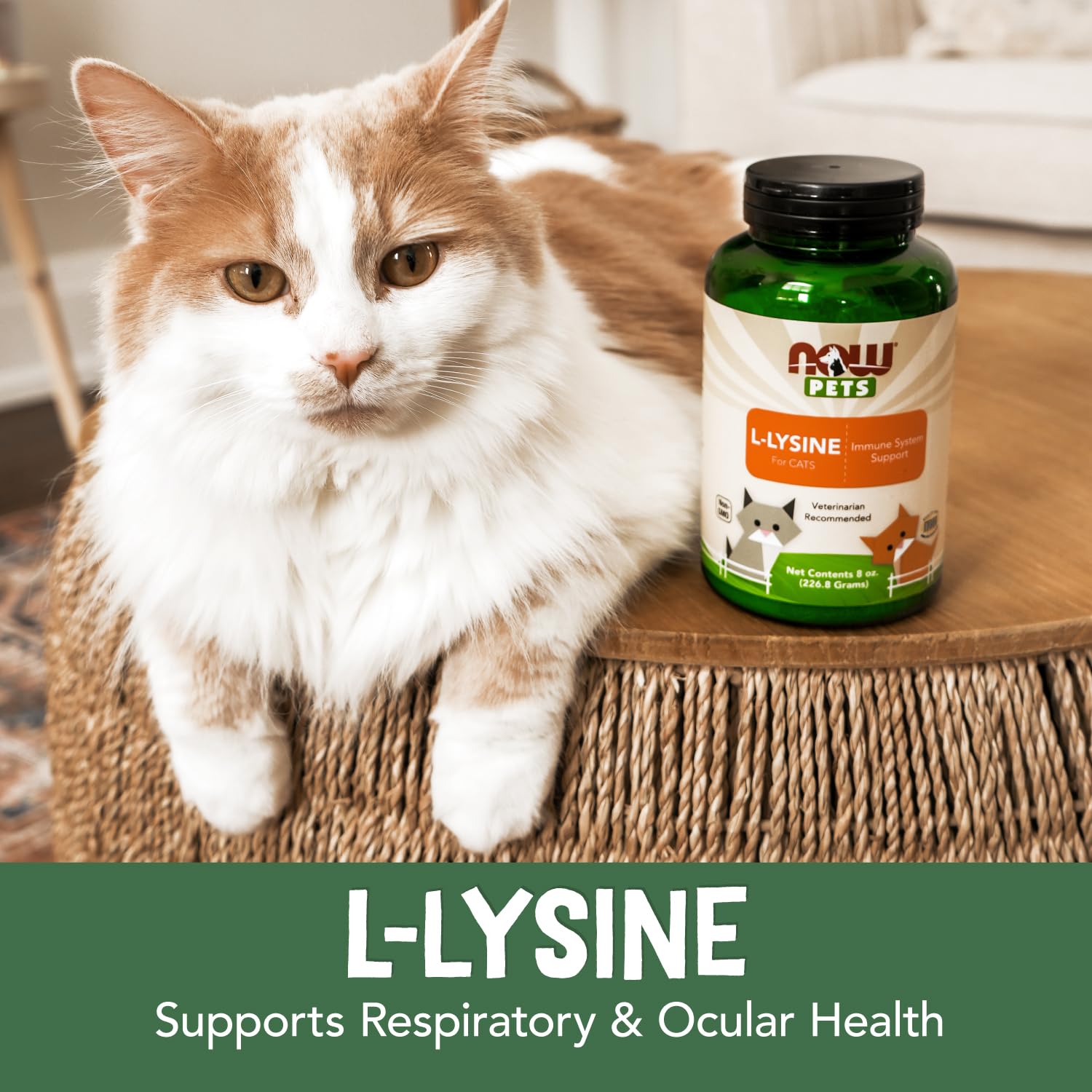 NOW Pet Health, L-Lysine Supplement, Powder, Formulated for Cats, NASC Certified, 8-Ounce