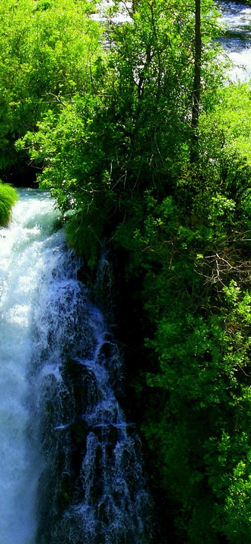 PeelitStickit, Beautiful Nature Wall Murals, ID-0999, vinyl