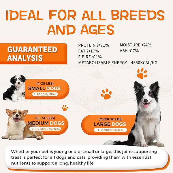 DANCING TAIL GLUCOSAMINE MULTIVITAMIN HIP & JOINT CARE SUPPLEMENT FOR DOGS, FREEZE DRIED CHICKEN & QUAIL EGG YOLK FLOSS TREATS VITAMIN C VITAMIN E 6 OUNCE DOG HEALTH SUPPLIES