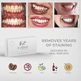ICY Bear Teeth Whitening Strips PAP Technology Brand New Home Use view 5