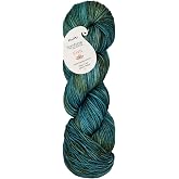 KnitPro Symfonie DK Weight Merino Wool Yarn 240yds, 100g, Gulf Coast | 100% Extrafine Merino, Hand Dyed, OEKO-TEX Certified, Superwash, Colorfast, #3 Yarn Skein for Knitting &amp; Crochet