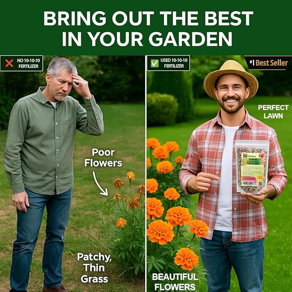 𝐁𝐄𝐒𝐓𝐒𝐄𝐋𝐋𝐄𝐑 10-10-10 PLANT FERTILIZER SLOW RELEASE | 10 10 10 ALL PURPOSE FERTILIZER FOR FRUIT TREES, EVERGREENS, VEGETABLES, ARBORVITAE, FIG TREES, SHRUBS, PINES, OAKS, FLOWERS [1 QUART]