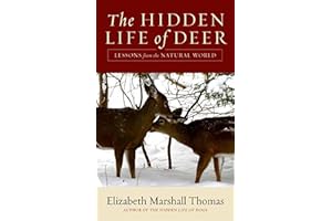 The Hidden Life of Deer: Lessons from the Natural World