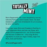 Peppersmith Spearmint Peppermint Gum Mix Pack 12 x 15g Xylitol Sugar Free view 7