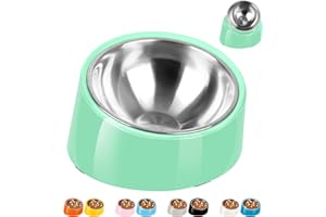 Petvillage Dog Bowl,15° Tilted Dog Bowl Non-Slip & Non-Spill Pet Feeder with Elevated Detachable Melamine Stand, Easy to Get Food Dog Dish, S/0.5 Cup Green