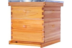 POLLIBEE 10 Frame Bee Hive,Beeswax Coated Beehive Kit for Bee Keeper,Complete Beehive Include 1 Deep Brood Bee Box and 1 Medium Bee Hive Box with Frames and Foundations