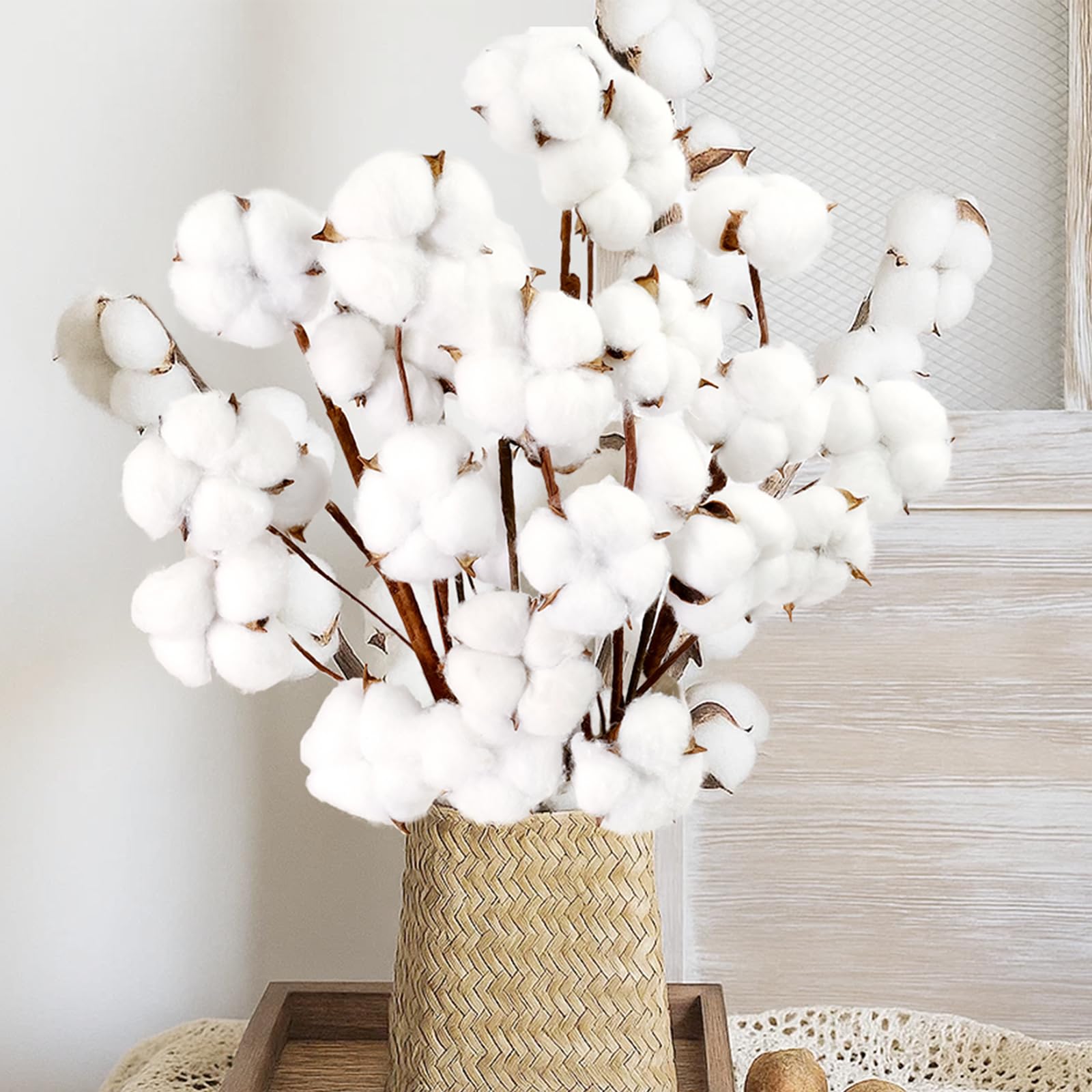 Photo 1 of 10 Packs Natural Dried Cotton Stems - 15 Inch Real Cotton Flowers with 20 Bolls, Rustic Farmhouse Cotton Decor Branches Bundle for DIY Vase Fillers and Wedding Centerpiece, Christmas, Halloween