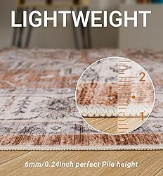 befbee 4x6 Rugs for Living Room Bedroom,Non-Slip