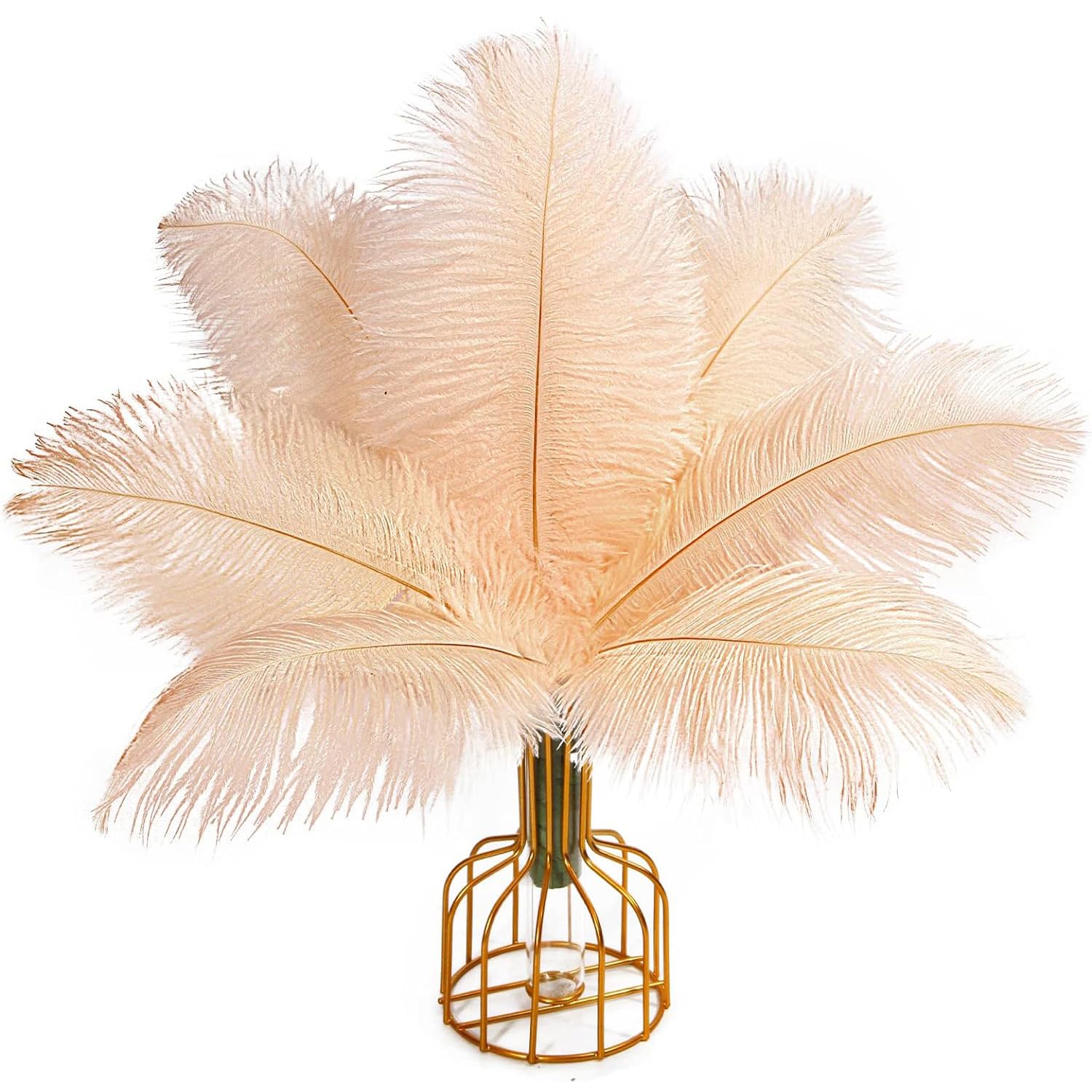 10PCS Ostrich Feathers,25-30cm/9.8-11.8in Craft Feathers Ostrich Champagne Plume for DIY Crafts Table Vase Home Wedding Holiday Halloween Christmas Home Decorations(Champagne)