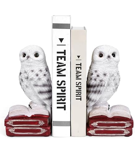 Cute Owl Metal Bookends - Big Eyes Night Scene Design, Heavy Duty Book Organizers For Desk Or Shelf - View #3
