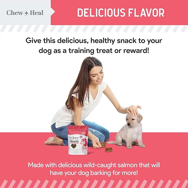CHEW + HEAL LABS DOG SALMON JERKY FOR PUPPIES – 12 OZ OF WILD CAUGHT ALASKAN SALMON JERKY FOR PUPPY DEVELOPMENT WITH CHICKPEAS, CARROTS, SWEET POTATO, AND FRUIT – MADE IN THE USA