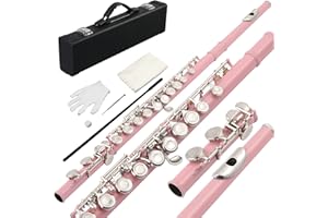 Ktaxon C Closed Hole Flute 16 Keys Flutes Kit for Students, Professionals & Beginner, Orchestra Musical Nickel Flute with Har