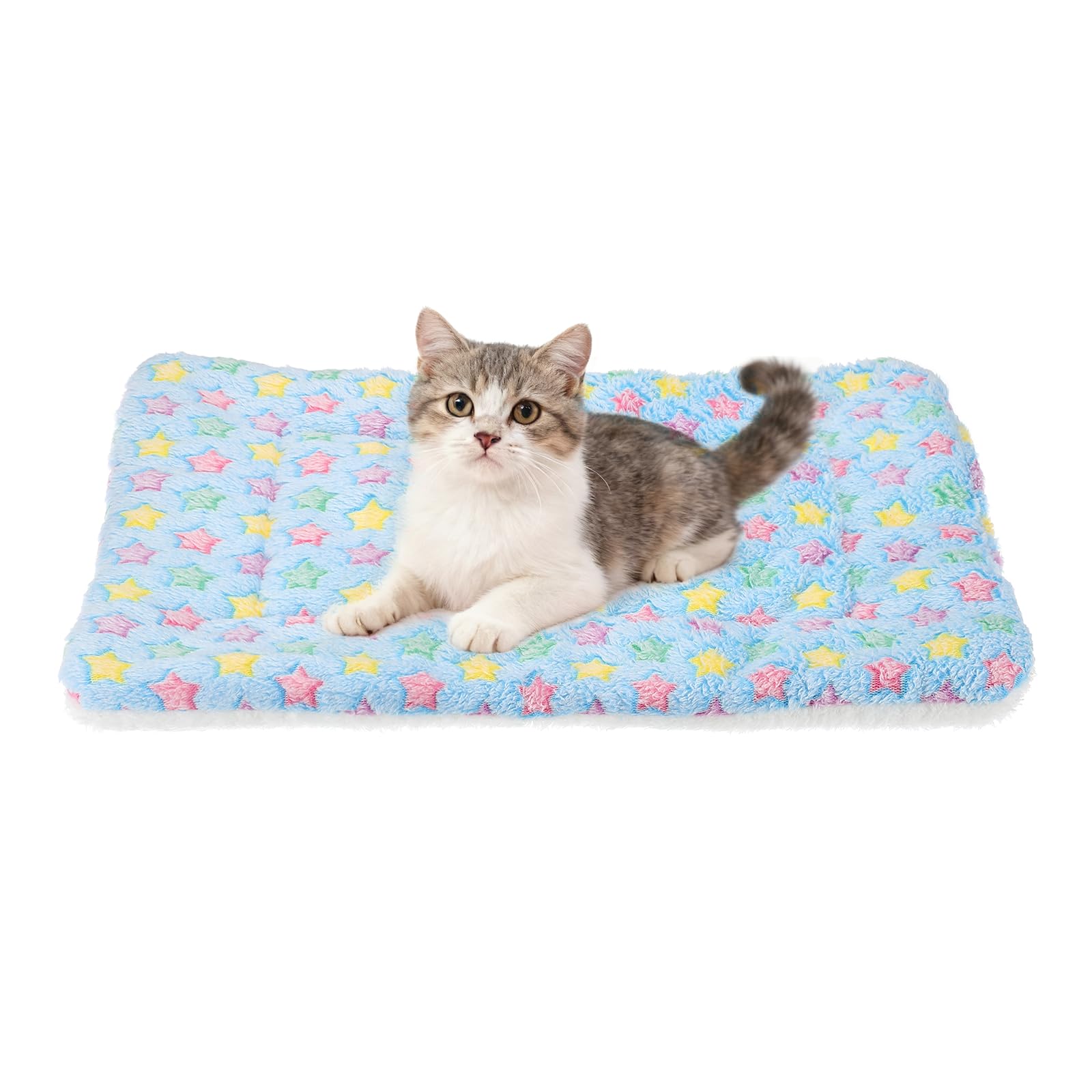 Photo 1 of PETAXCELL Dog Cat Bed Mat, Soft Coral Fleece Pet Cushion Pad with Cute Star Print, Warm Washable Pet Bed 19x13 Inches, (Blue), Intended for Medium Small Dog Cat