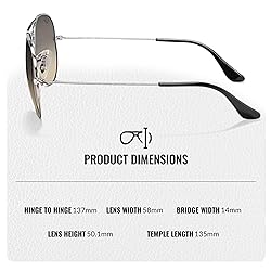 Ray-Ban RB3025 Classic Gradient Aviator Shape
