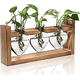 Zorpupoa Plant Propagation Station, Plant Terrarium with Wooden Stand, Tabletop Glass Planter Desktop Plants Propagation Vase for Hydroponics Plants - 3 Heart Shaped Vases