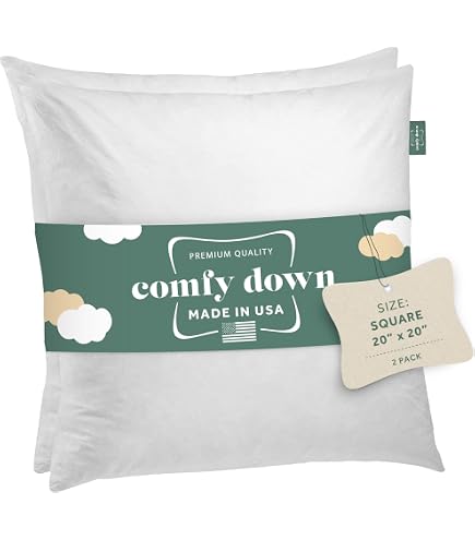 Oubonun 22x22 Inch Throw Pillow Inserts (Pack Of 2) - Fluffy Down Alternative Pillows, Machine Washable, White