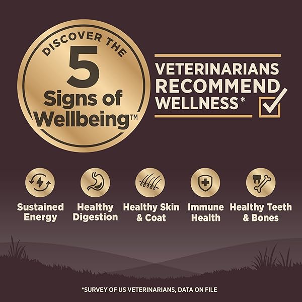WELLNESS CORE AGE ADVANTAGE SENIOR DRY DOG FOOD, GRAIN FREE KIBBLE, NATURAL, HIGH PROTEIN, TURKEY AND CHICKEN RECIPE, 4 LB BAG