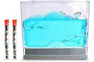NATURE GIFT STORE Ant Habitat Kit with 50 Live Ants Shipped Now - Informational Ant Terrarium Complete Set with Clear Nutrient Gel - Perfect for Learning and Fascinating Observation