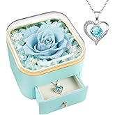 Beferr Valentines Day Gifts for Her Preserved Real Rose with Necklace Eternal Roses Forever Flowers for Delivery Prime Mothers Anniversary Birthday Gifts for Women Mom Grandma Wife Daughter Girlfriend