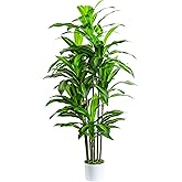 Artificial Dracaena Fake Tree 6FT, White High Pot Artificial Plants Indoor&Outdoor, Fake Plants for Office/Home/Living Room Potted Decoration