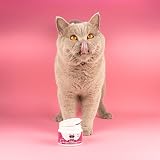 NutriPaw All-Itch Immunity Treats For Cats Salmon Flavour Vet Checked view 7
