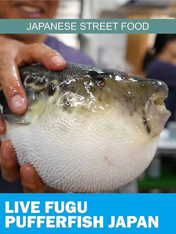 Watch Japanese Street Food Live Fugu Pufferfish Japan Prime Video