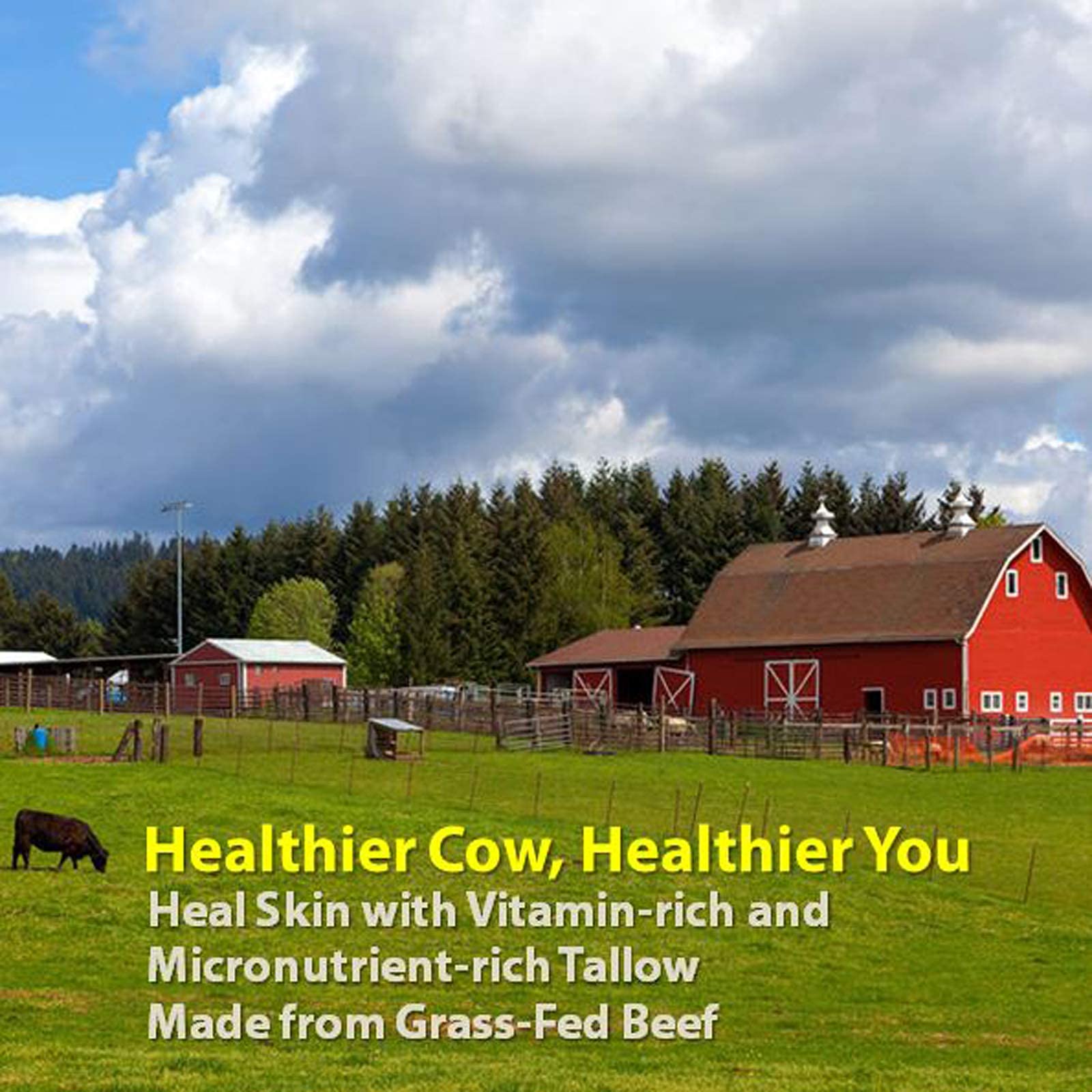 Vintage Tradition Beef Tallow All Purpose Balm