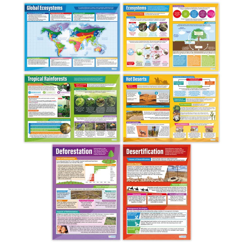 Ecosystems Posters - Set of 6 | Geography Posters | Laminated Gloss Paper measuring 850mm x 594mm (A1) | Geography Classroom Posters | Education Charts by Daydream Education
