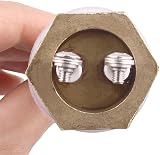 AIICIOO 1 Inch BSP FoldBack Heater 220V 3000W Brass Flange Silicone Ring view 3