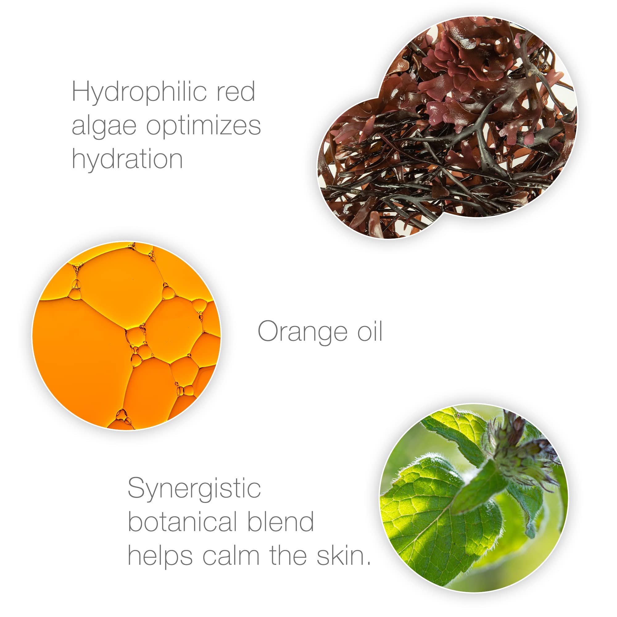 Bio-Therapeutic Decongest - Gentle Formula prepares Skin for deep Cleansing and extractions.