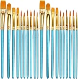 Aniyoo Paint Brushes 20 Pcs Set Nylon Hairs Wood Handles for Acrylic Watercolor