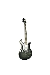 IYV 6 String IP-350 TBK PRS Solid-Body Electric