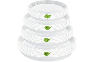 LWALRS 20 Pack Plant Saucer Tray (6 8 10 12 inch), Plant Saucers for Indoors Outdoor, Plastic Heavy Duty Drainage Drip Water Trays for Planter Pots Flower, Clear Pot Saucers Trays for Plants