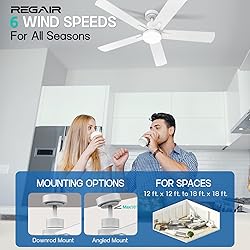 Ceiling Fan With Light 52-Inch, Remote Control