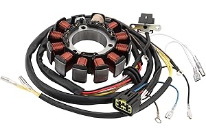 WOOSTAR 12 Coil 12 Wire Magneto Stator Replacement for Polaris 1999 Ranger 500 6x6 2003 Ranger 500 Series 10 2x4 4x4 6x6 2004