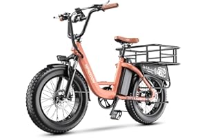 EUY 1500W Peak Electric Bike for Adults, 48V 20Ah Removable Battery Max Range 80Miles & 30MPH Electric Bicycle, 20''×4.0" Fat Tire Ebike,Fast Cargo Ebikes,Commute Mountain E-Bike UL Certified