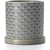 Chubacoo 8 Inch Plant Pot: Ceramic Planter with Drainage Hole & Saucer Indoor Outdoor Plants - Cylinder Round Flower Pot for Home Office - Modern Decorative - Medium Grey