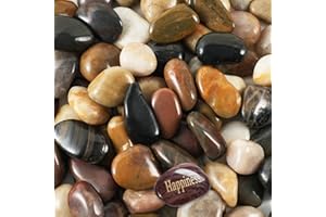 SIDONG 5 LB Mixed River Rocks, 0.4-1.2 Inches Highly Polished Pebbles for Indoor Plants, Decorative Stones for Plants, Fish Tank, Vases, Home Décor, Crafting, Garden Landscaping
