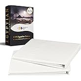 California Design Den Standard/Queen Size Pillow Cases Set of 2-100% Egyptian Cotton, Crisp Percale Feel, Soft & Breathable Cotton Pillowcases Queen & Standard - Ivory