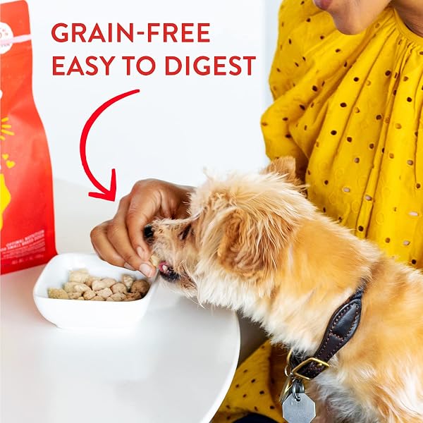 STELLA & CHEWY’S FREEZE-DRIED RAW LIL’ BITES CHICKEN LITTLE RECIPE SMALL BREED DOG FOOD, 7 OZ. BAG