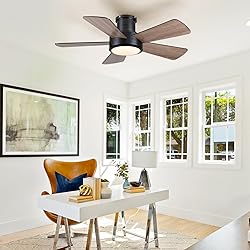 Ceiling Fans with Lights,Modern Low Profile Ceiling