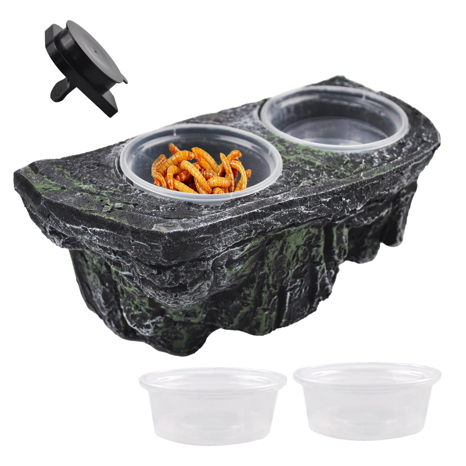 Photo 1 of kathson Reptile Feeder Ledge,Reptiles Food Bowls and Water Dish Crested Gecko Feeder with Suction Cup Ledge Accessories Bowls for Gecko Lizard Chameleon Spider(with 2 Pcs Cups)