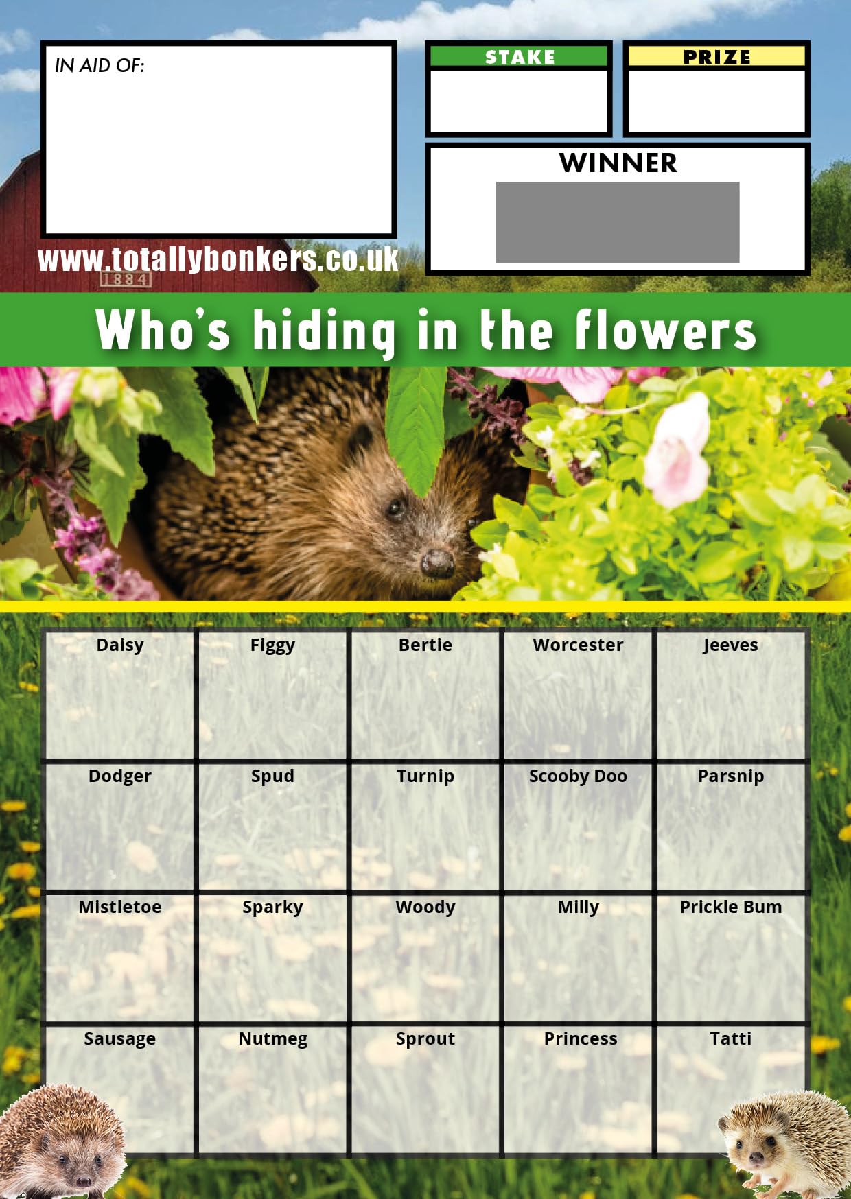 Totally Bonkers - Hedgehog Fundraising Scratch Cards - 20 Square - A6 (148x105mm) - 10 Pack - TB0115 - Blind Card…