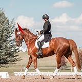 SAVITA 5PCS Horse Training Flags with 63in Telescopic Poles (5 Colors) view 6