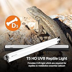Oiibo T5 UVB Reptile Lighting Combo Kit, Reptile