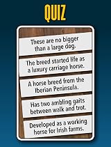 Smart Cards Smart Cards Horse & Pony Card Game 7 Games Travel Pack view 9