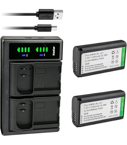 DSTE Batteria Ricaricabile DMW-BLJ31 2600mAh (Confezione Da 2) + Caricatore USB Doppio Con Display LCD Per Panasonic Lumix S1, S1R, S1H