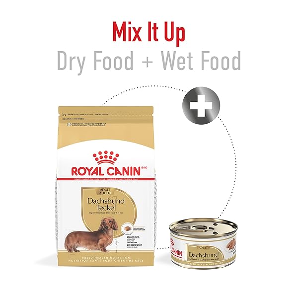 ROYAL CANIN DACHSHUND ADULT BREED SPECIFIC DRY DOG FOOD, 2.5 LB BAG
