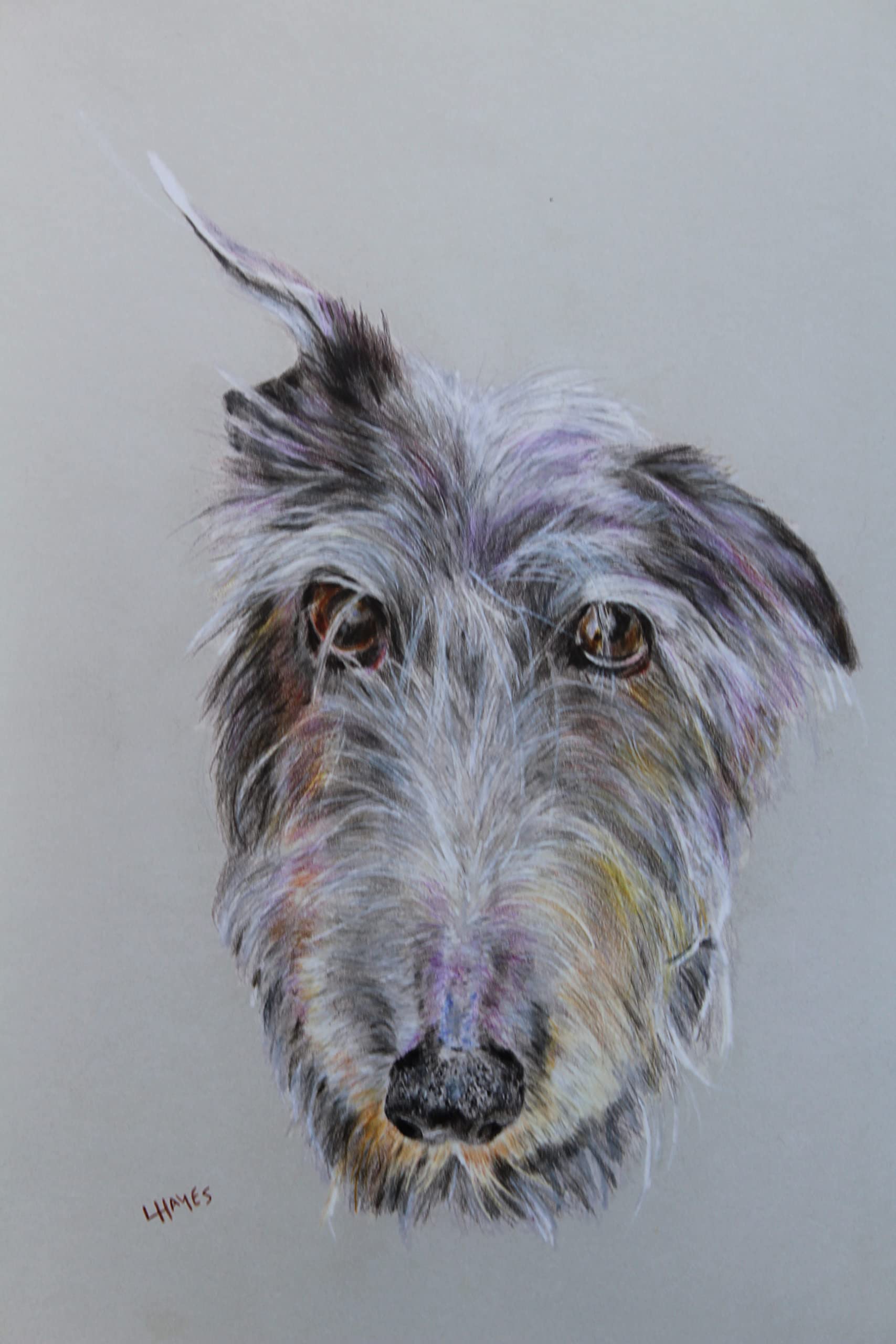 Mooveit Lurcher Dog Print