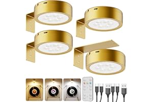 TEDMOS USB Rechargeable Light Over Picture Frame, Gold 2600mAh Battery Operated Art Lights for Paintings Wireless Gallery Wall Light with Remote Control LED Magnetic Spotlight for Accent Artwork Photo Museum